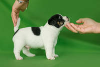 1484 X 1000 509.8 Kb 1484 X 1000 634.7 Kb  ''   .