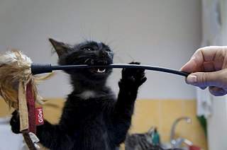 807 X 536  55.4 Kb 536 X 807  53.5 Kb 807 X 536  52.0 Kb    