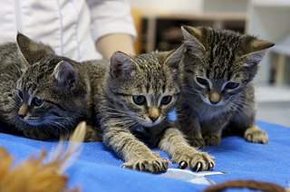 807 X 536  86.9 Kb 807 X 536  55.4 Kb 536 X 807  53.5 Kb 807 X 536  52.0 Kb    