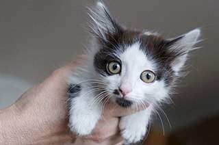 807 X 536  63.3 Kb 807 X 536  86.9 Kb 807 X 536  55.4 Kb 536 X 807  53.5 Kb 807 X 536  52.0 Kb    