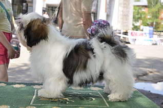 1920 X 1271 259.3 Kb  -