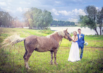 1230 X 874 243.1 Kb    1 