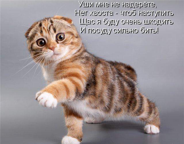 640 x 501 Улыбнемся?
