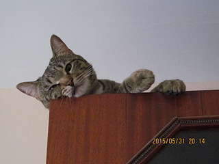 1920 X 1440 155.6 Kb   - , , .