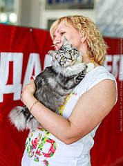 474 X 639 278.4 Kb курильский бобтейл