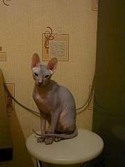 360 X 480 21.6 Kb  , ,   ()!