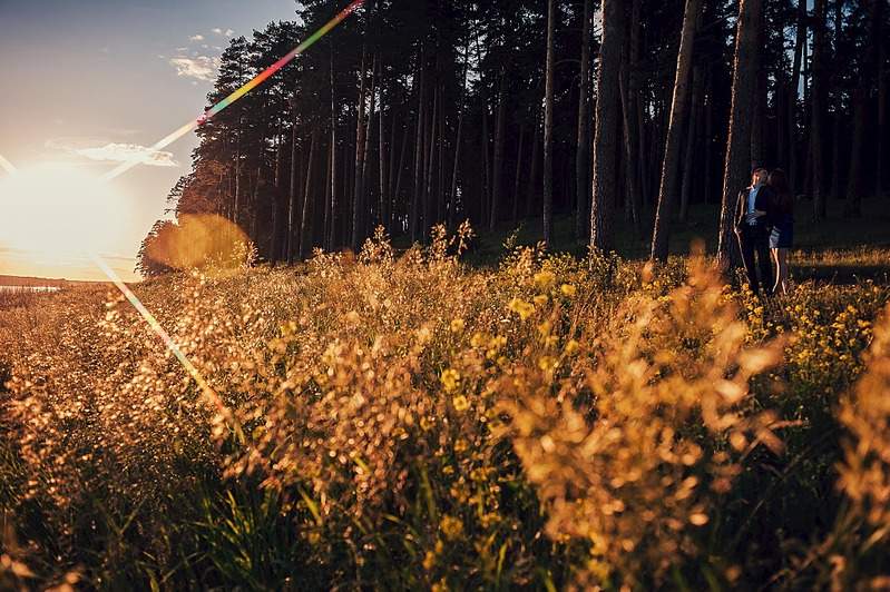 2048 X 1363 495.6 Kb 2048 X 1363 177.3 Kb   .  , Love Story,  .