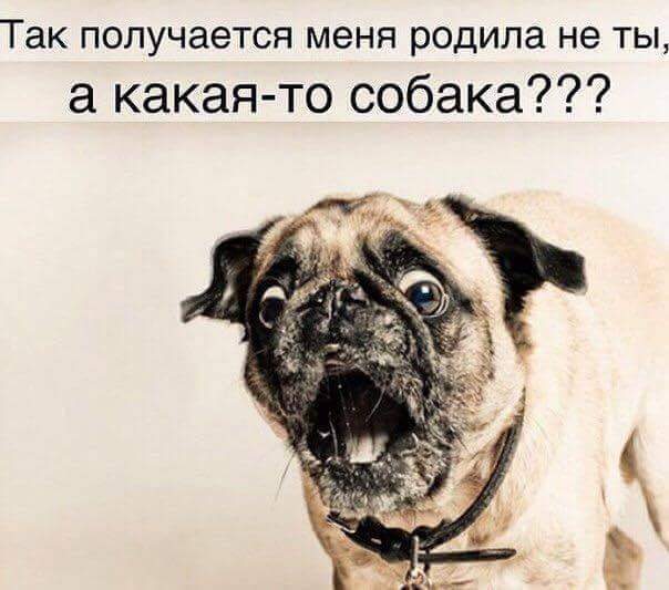 604 x 533 Улыбнемся?