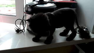 1920 X 1082 104.5 Kb  -   . 