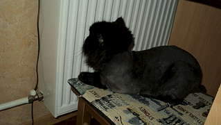 1920 X 1082 159.0 Kb 1920 X 1082 104.5 Kb  -   . 