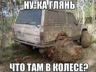 604 X 455  81.8 Kb 604 X 453  50.5 Kb 604 X 453  53.7 Kb 480 X 480  39.7 Kb 492 X 322  51.7 Kb Автоюмор