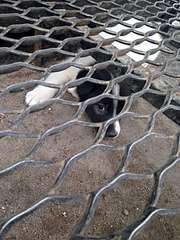 1080 X 1440 223.4 Kb     .