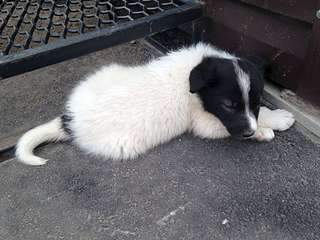 1920 X 1440 346.1 Kb 1080 X 1440 223.4 Kb     .