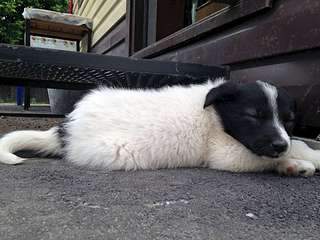 1920 X 1440 274.0 Kb 1920 X 1440 346.1 Kb 1080 X 1440 223.4 Kb     .