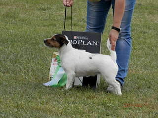 1920 X 1440 276.9 Kb 1508 X 1000 267.1 Kb  ''   .