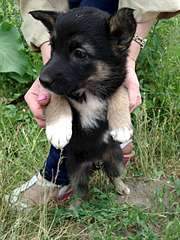 1920 X 2560 463.0 Kb     .