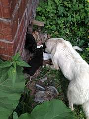 1920 X 2560 483.6 Kb 1920 X 2560 290.3 Kb 1920 X 2560 463.0 Kb     .