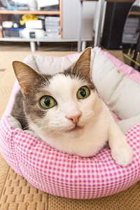 600 X 900 158.2 Kb 600 X 900 134.8 Kb  Sigma 10-20mm EX DC HSM  Canon