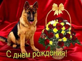 600 X 450 125.0 Kb Пенсионный фонд им.Миши Овчаркина