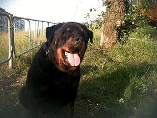 960 X 720 264.0 Kb 960 X 720 229.9 Kb 960 X 720 262.3 Kb 960 X 1280 342.4 Kb 768 X 1024 227.4 Kb   -  