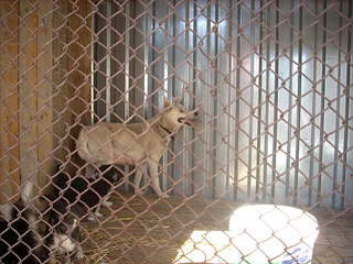 1920 X 1440 311.5 Kb 1920 X 2560 440.0 Kb 1920 X 2560 386.2 Kb        