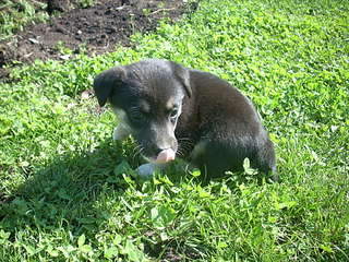 1920 X 1440 563.4 Kb        