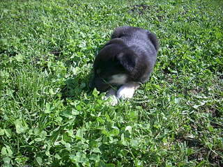 1920 X 1440 613.8 Kb 1920 X 1440 563.4 Kb        