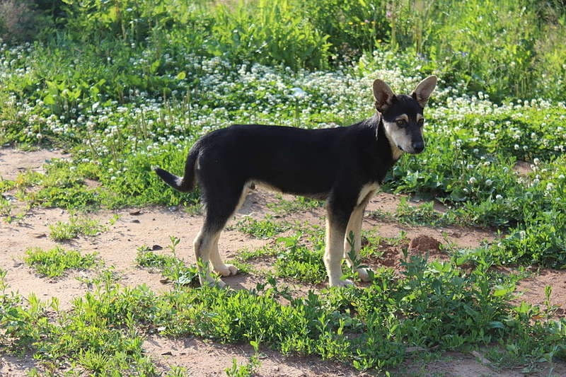 1920 X 1280 458.3 Kb    !