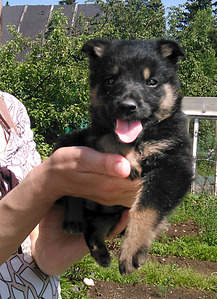 1450 X 2000 439.9 Kb 1833 X 2000 508.9 Kb 1920 X 1611 482.4 Kb    .