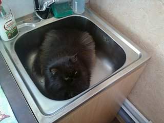 1600 X 1200 288.9 Kb  -   . 