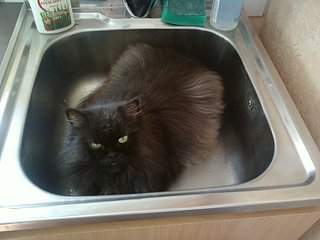 1600 X 1200 239.3 Kb 1600 X 1200 288.9 Kb  -   . 