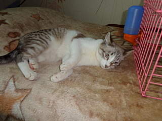 640 X 480 162.7 Kb 1488 X 1984 210.4 Kb 1984 X 1488 168.3 Kb 1984 X 1488 165.4 Kb 1411 X 889 344.8 Kb     