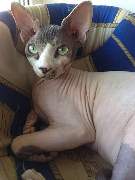 1080 X 1440  95.3 Kb  !   8 000 .