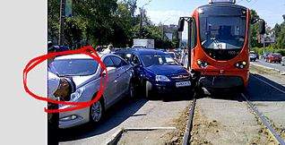 758 X 385 73.5 Kb 22.06.2015   .    , ,   