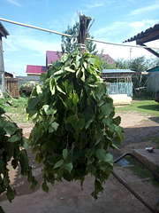 1080 X 1440 159.2 Kb  ,   