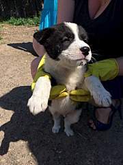 1440 X 1920 758.5 Kb 1920 X 1440 319.2 Kb 1440 X 1920 992.2 Kb 1920 X 1920 334.2 Kb     .