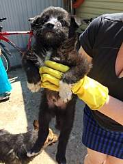 1440 X 1920 838.2 Kb     .