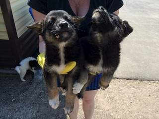 1920 X 1440 780.0 Kb 1440 X 1920 838.2 Kb     .