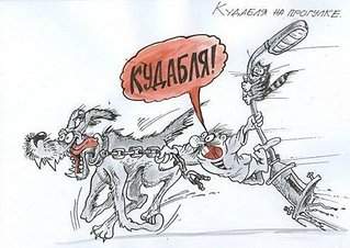 493 X 349  41.6 Kb Вот МОЯ деревня...АКУНА МАТАТА) - всякой твари по паре... ПРОДАЮ ШИНШИЛЛ