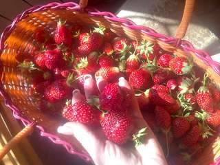 1920 X 1440 298.3 Kb    