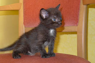 800 X 534 284.8 Kb 800 X 534 368.8 Kb    1 