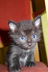 800 X 1199 768.9 Kb 800 X 534 404.3 Kb 800 X 534 284.8 Kb 800 X 534 368.8 Kb    1 