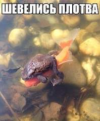 453 X 549  50.1 Kb 604 X 604  60.2 Kb Улыбнемся?