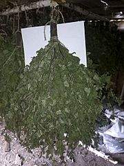 1536 X 2048 453.8 Kb  