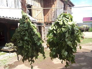 1920 X 1440 339.6 Kb 1080 X 1440 159.2 Kb ������ ������ ���, ������, ����