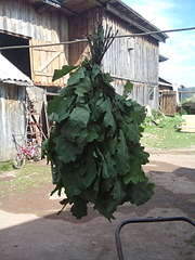 1080 X 1440 177.2 Kb 1920 X 1440 339.6 Kb 1080 X 1440 159.2 Kb ������ ������ ���, ������, ����