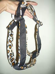 1920 X 2560 354.5 Kb    !