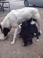 960 X 1280 241.4 Kb 960 X 1280 228.8 Kb 960 X 1280 248.8 Kb     .