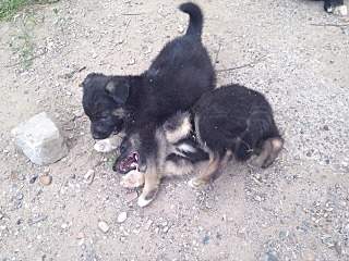 1280 X 960 230.0 Kb     .