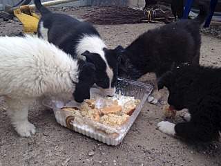 1280 X 960 240.1 Kb 1280 X 960 232.7 Kb 1280 X 960 230.0 Kb     .